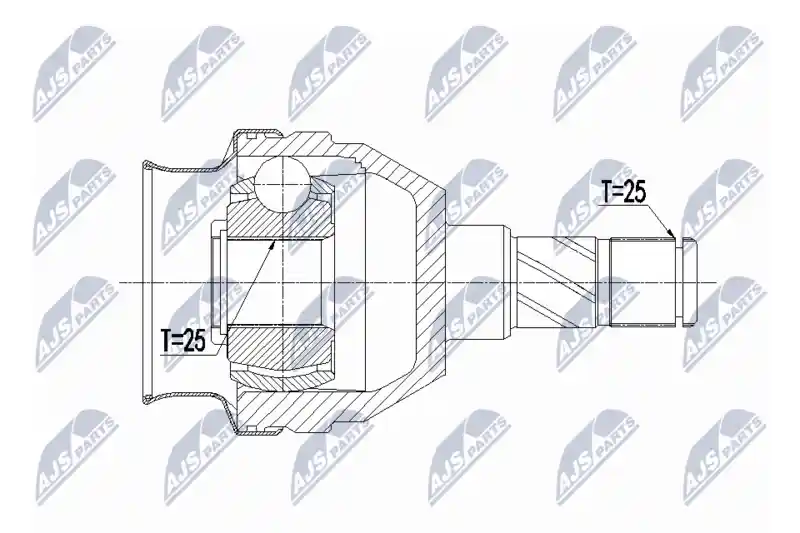 NTY NPW-PL-066