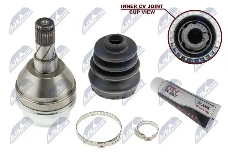 NTY NPW-PL-066