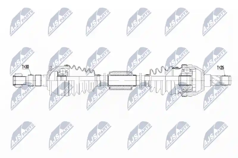 NTY NPW-PL-071