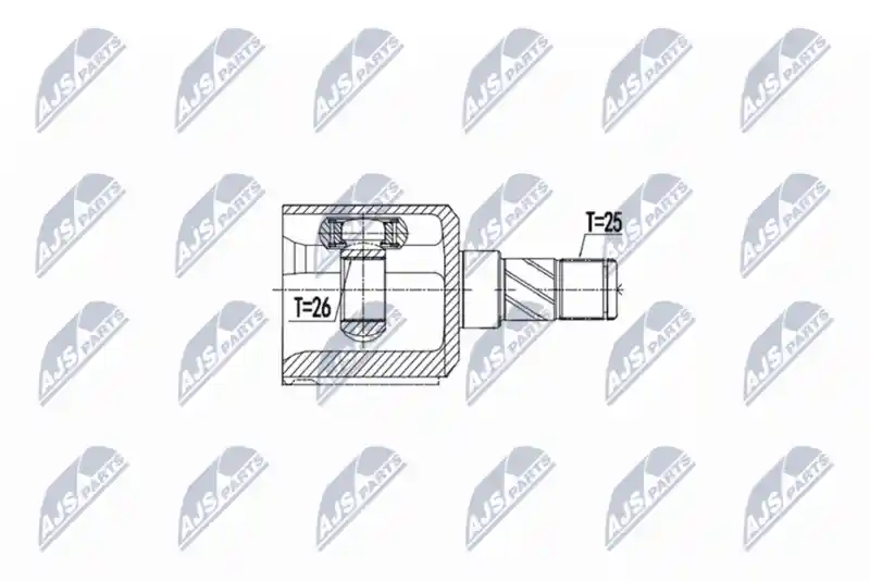 NTY NPW-PL-076