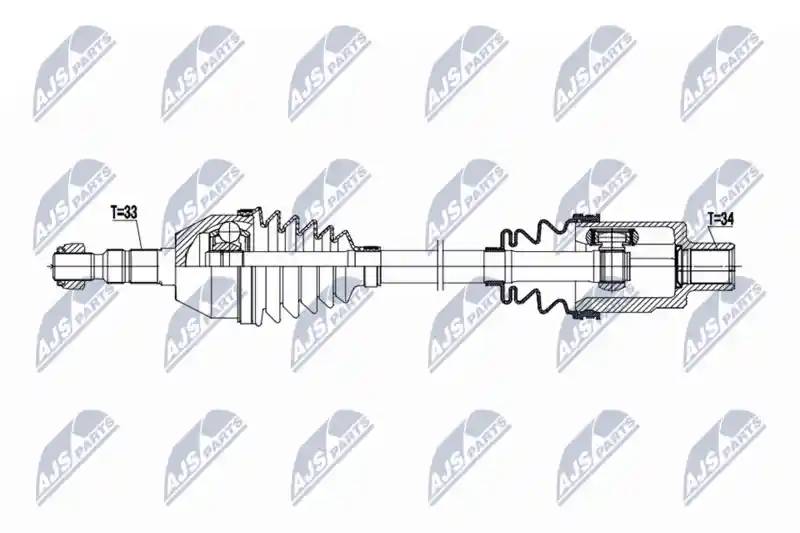 NTY NPW-PL-166