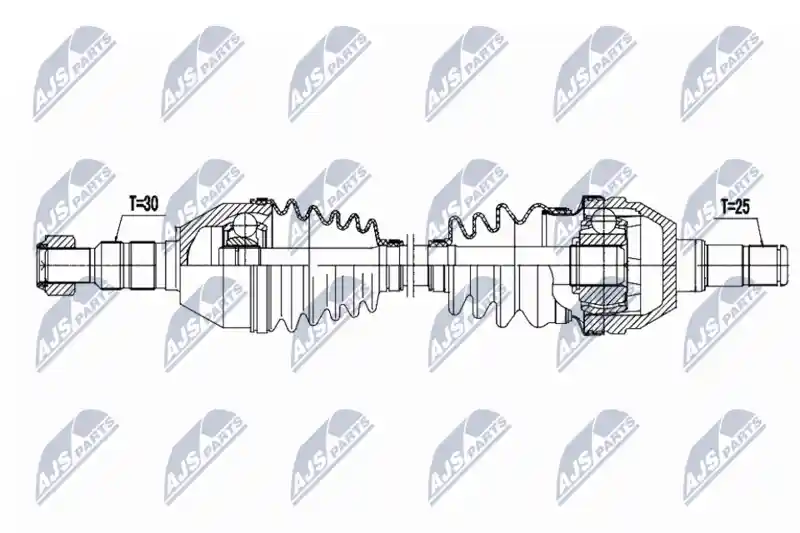 NTY NPW-PL-170