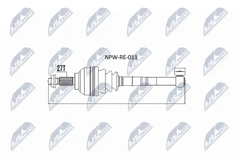 NTY NPW-RE-011