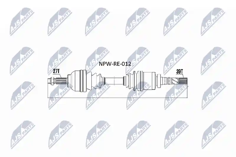 NTY NPW-RE-012