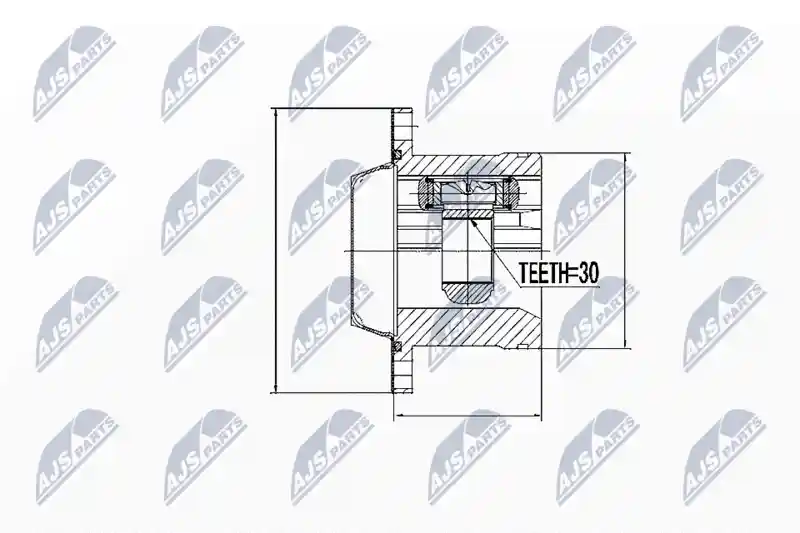 NTY NPW-WW-011
