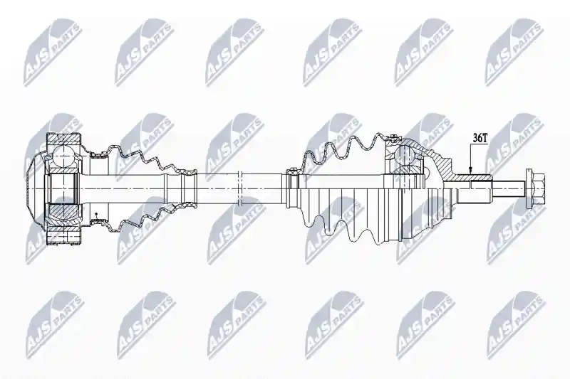 NTY NPW-WW-207