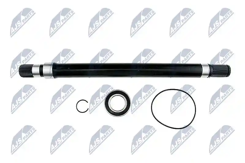 NTY NWP-PL-001
