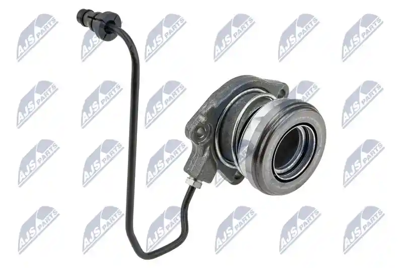 NTY NWS-PL-013
