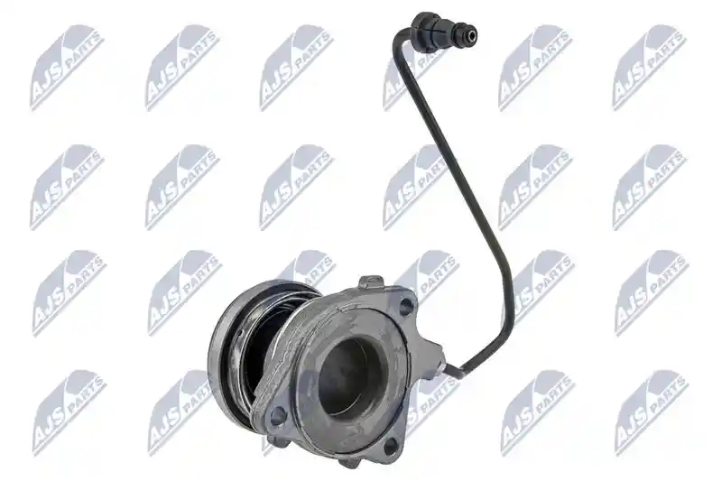 NTY NWS-PL-013