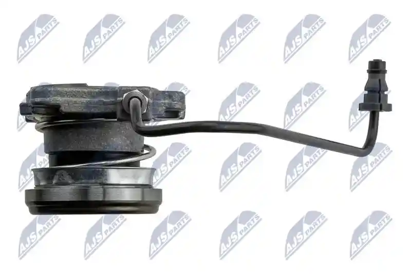NTY NWS-PL-013