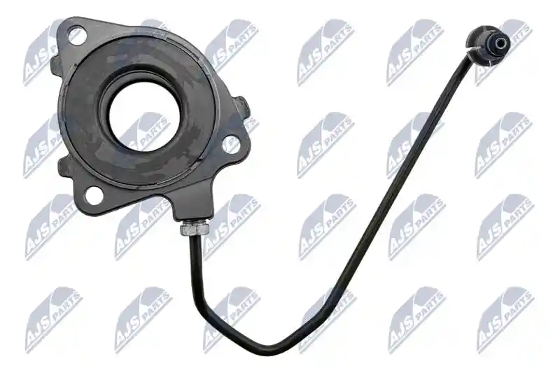 NTY NWS-PL-013