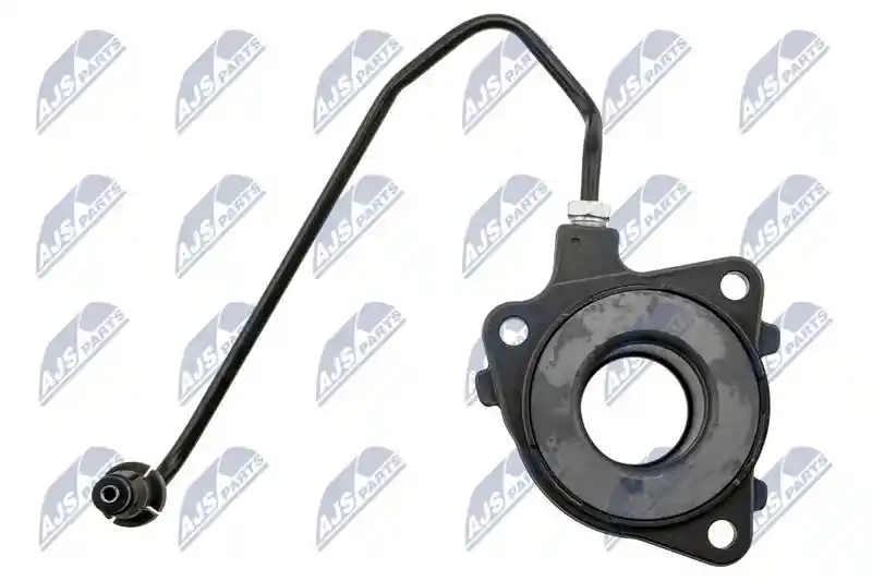 NTY NWS-PL-017