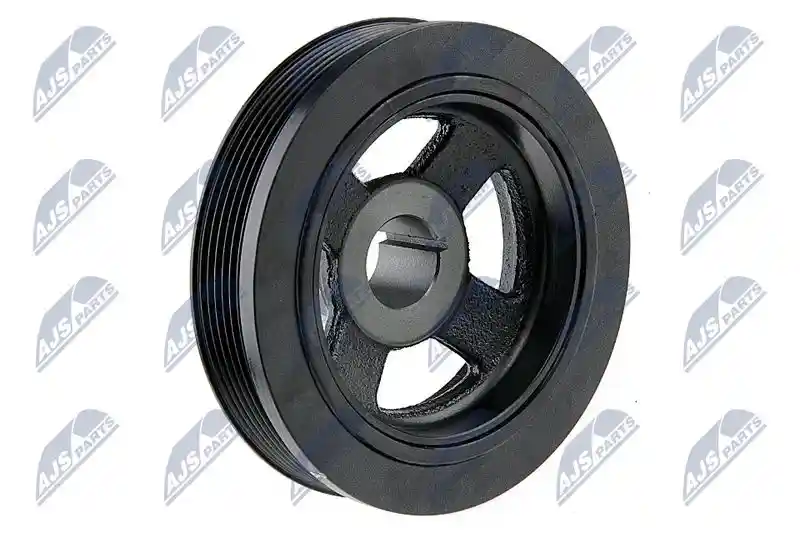 NTY RKP-MS-005