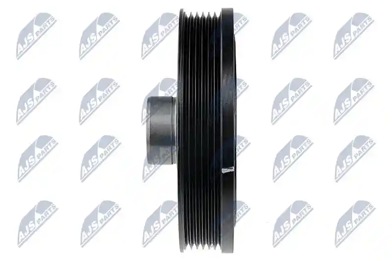 NTY RKP-MS-005