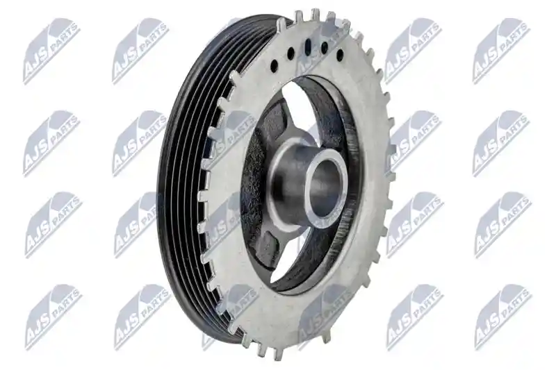 NTY RKP-MZ-008