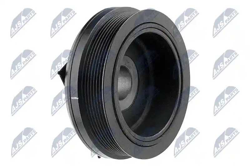 NTY RKP-NS-010