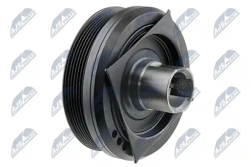 NTY RKP-NS-010