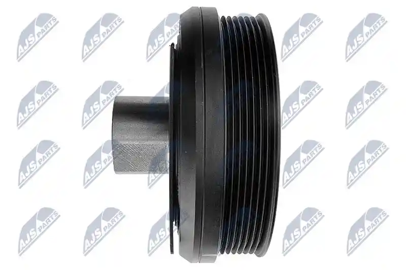 NTY RKP-NS-010