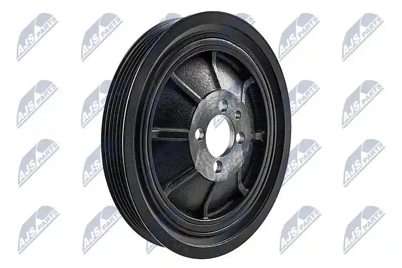 NTY RKP-PL-006