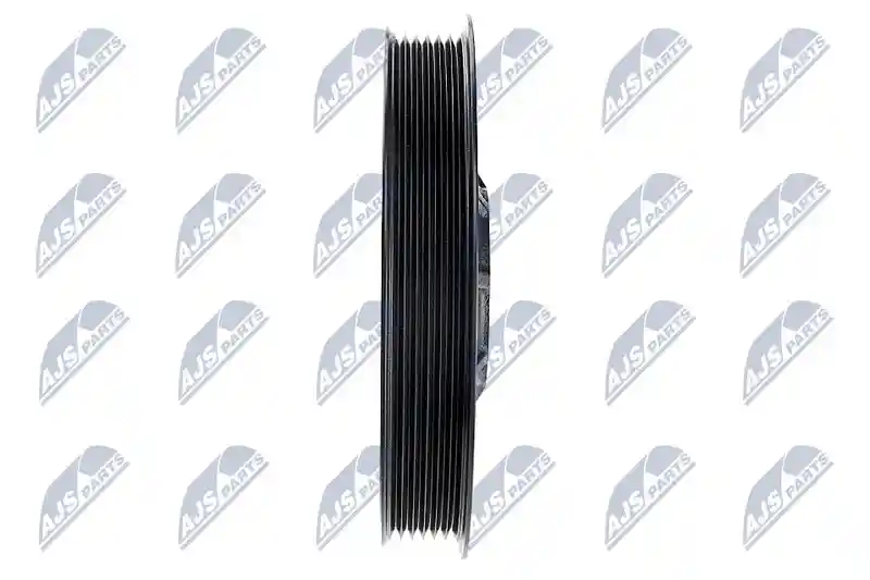 NTY RKP-PL-006