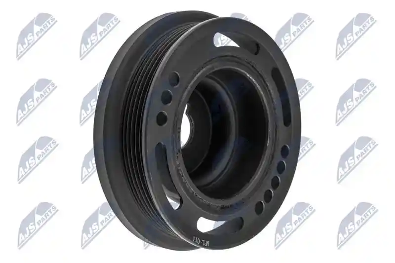 NTY RKP-PL-011