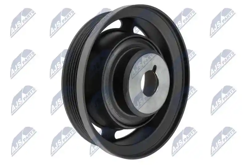 NTY RKP-PL-011