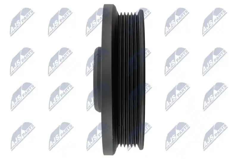 NTY RKP-PL-011