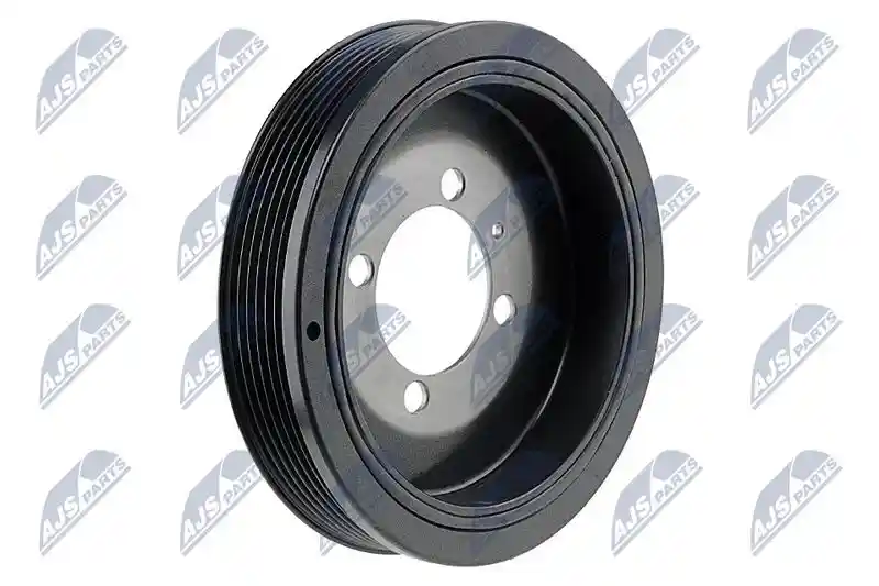NTY RKP-PL-016