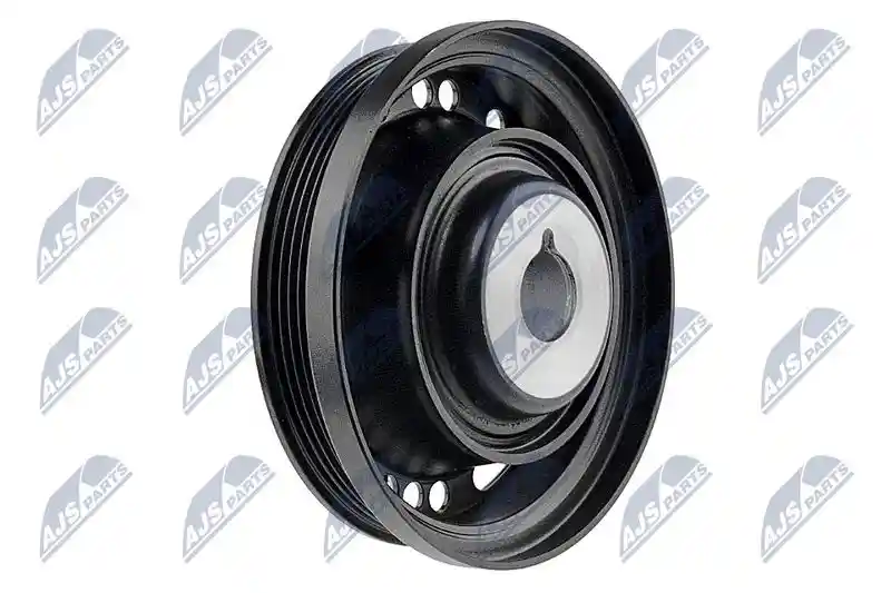 NTY RKP-PL-020