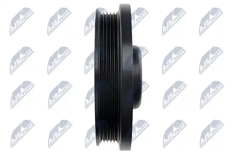 NTY RKP-PL-020