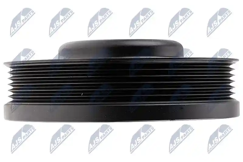 NTY RKP-WW-019