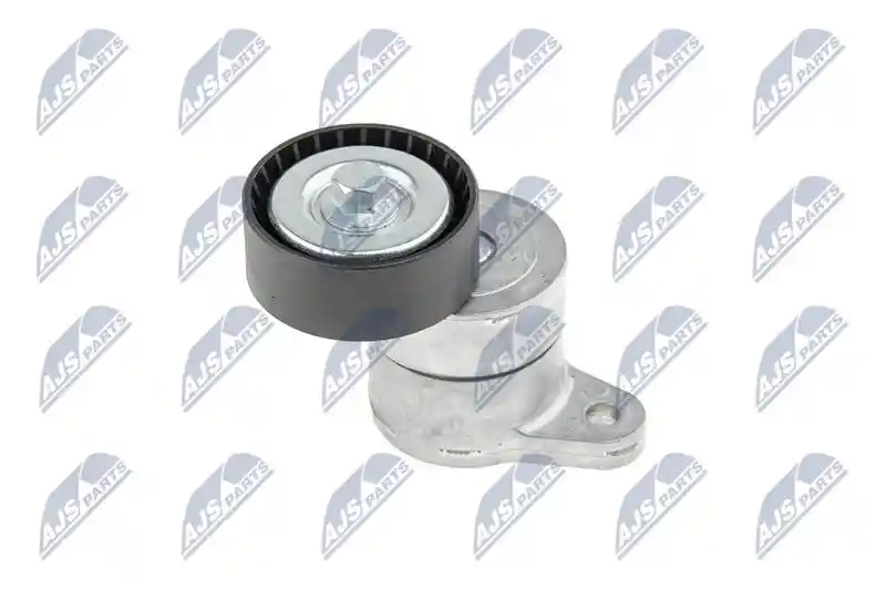 NTY RNK-MS-003 NTY RNK-MS-003