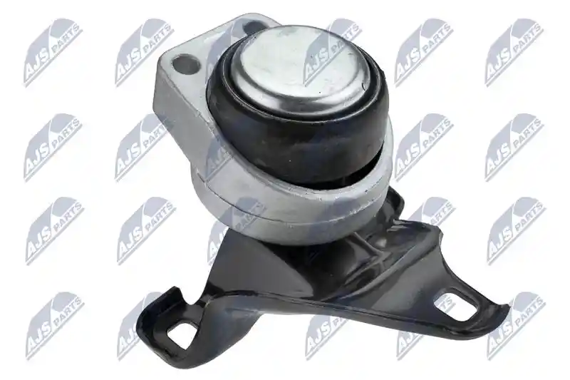 NTY ZPS-FR-011