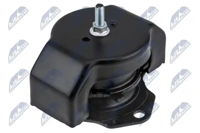 NTY ZPS-MS-011