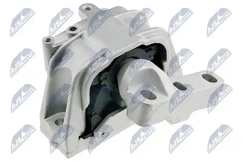 NTY ZPS-WW-011
