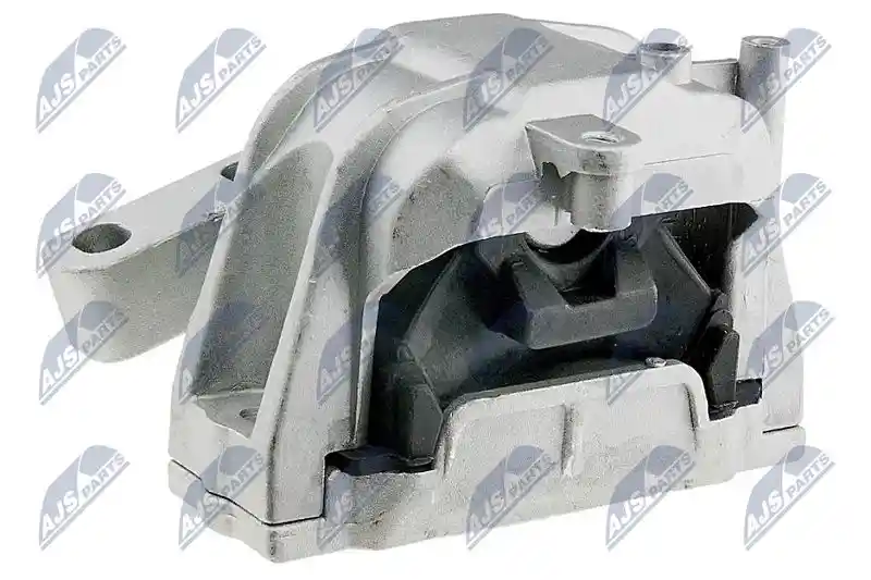 NTY ZPS-WW-011