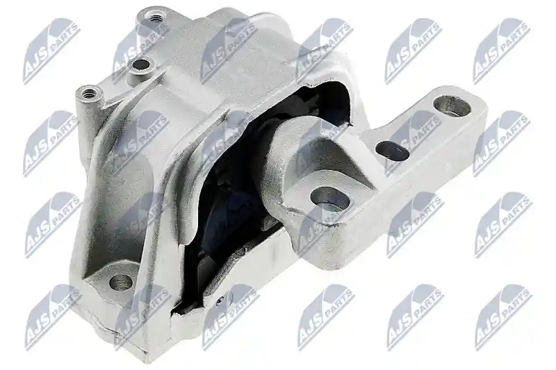 NTY ZPS-WW-031