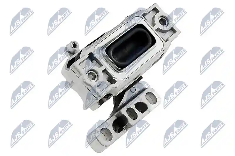 NTY ZPS-WW-031
