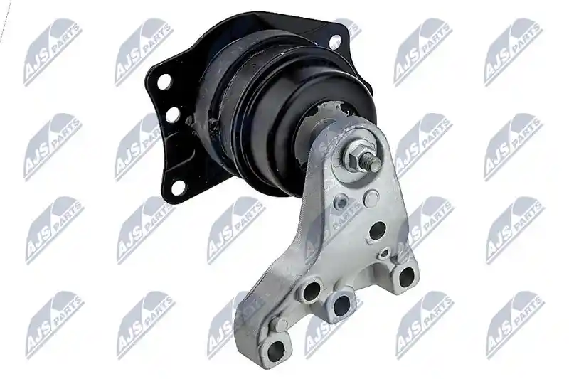 NTY ZPS-WW-081