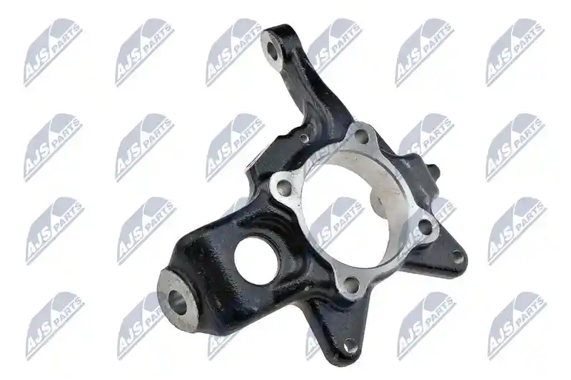 NTY ZZP-MS-009