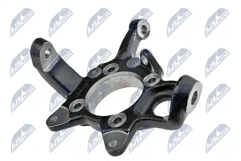 NTY ZZP-MS-009