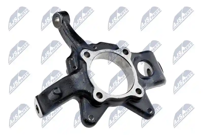 NTY ZZP-MS-010
