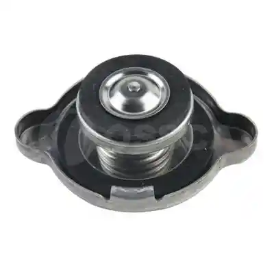 OSSCA 00263
