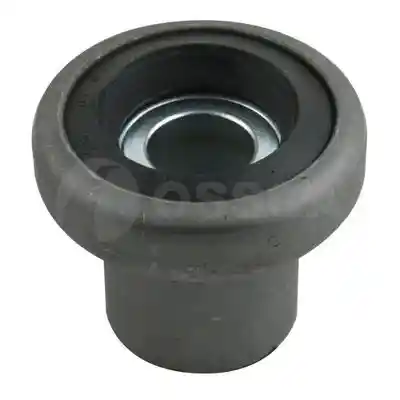 OSSCA 00381