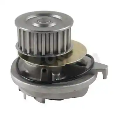 OSSCA 00546