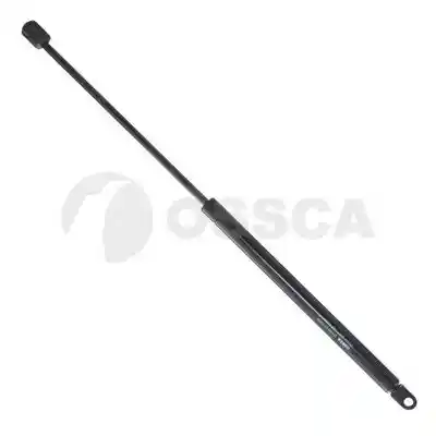 OSSCA 01861