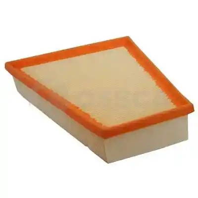 OSSCA 01905 OSSCA 01905