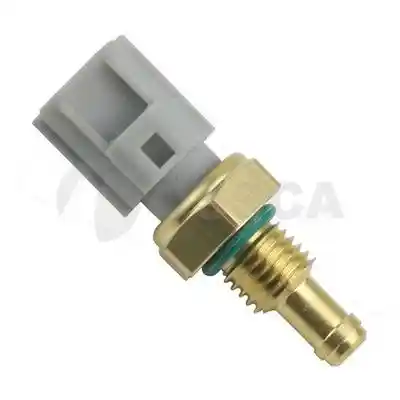 OSSCA 02036