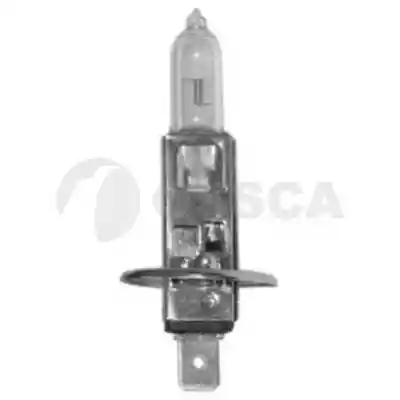 OSSCA 02489