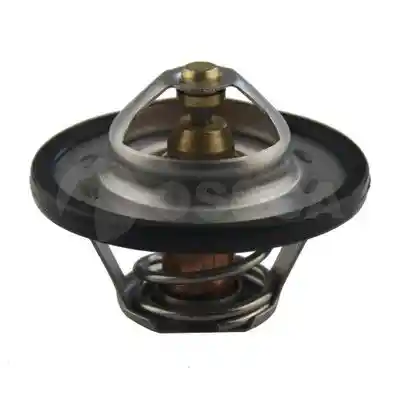 OSSCA 02937